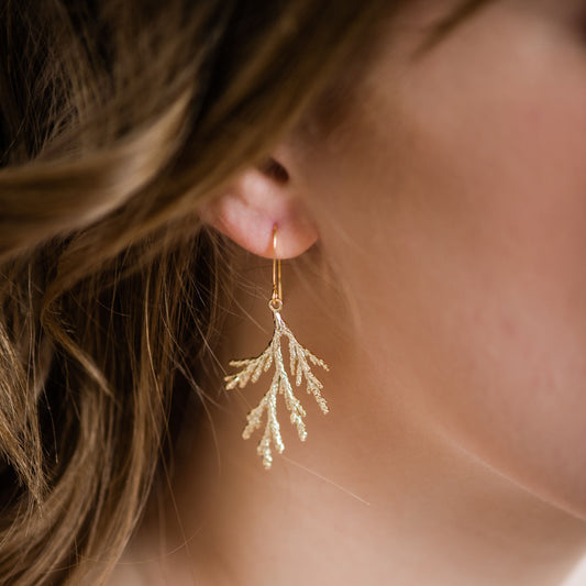 Gold Cedar Branch Earrings