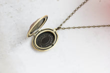 Load image into Gallery viewer, Pink Rose Cameo Locket Necklace