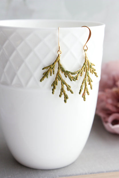 Cedar Branch Earrings (7 options)