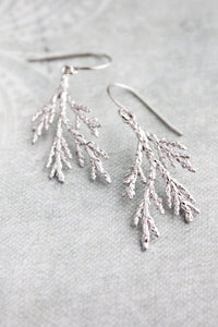 Silver Cedar Branch Earrings